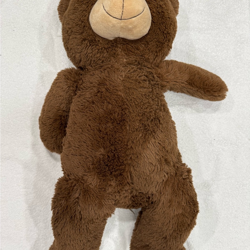 Brown Plush Teddy Bear